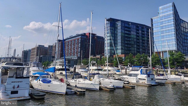 dock area featuring a water view