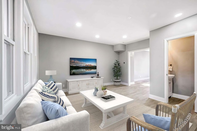 living room featuring light wood-type flooring