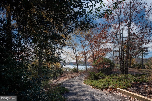 4 Bay View Ln, Colonial Beach, VA 22443 - view of road