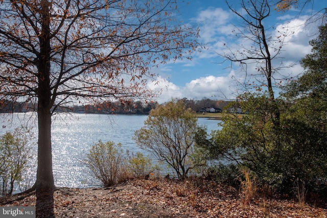 property view of water