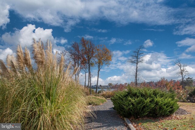 4 Bay View Ln, Colonial Beach, VA 22443 - view of home's community