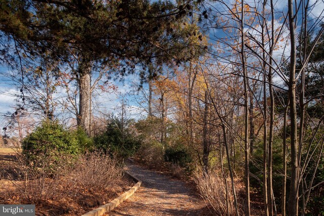 4 Bay View Ln, Colonial Beach, VA 22443 - view of nature