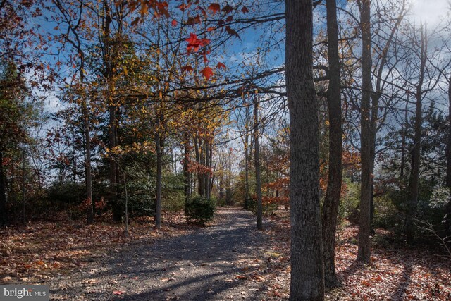 4 Bay View Ln, Colonial Beach, VA 22443 - view of street