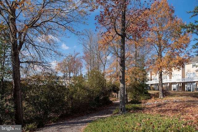 4 Bay View Ln, Colonial Beach, VA 22443 - view of road