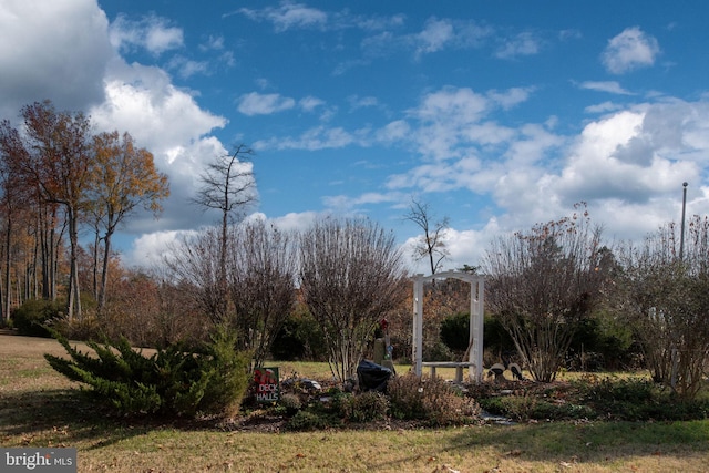 4 Bay View Ln, Colonial Beach, VA 22443 - view of yard
