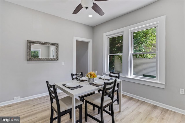 dining space with ceiling fan and light hardwood / wood-style floors