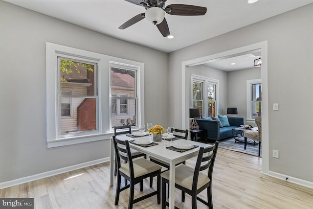 dining space with light hardwood / wood-style flooring and ceiling fan