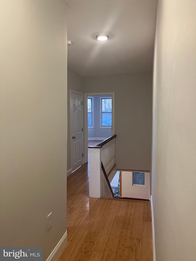 hallway featuring wood-type flooring