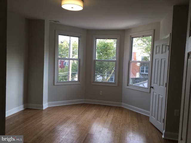 spare room featuring hardwood / wood-style flooring and a healthy amount of sunlight