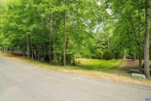 Listing photo 3 for Laguna Rd Unit 13, Palmyra VA 22963