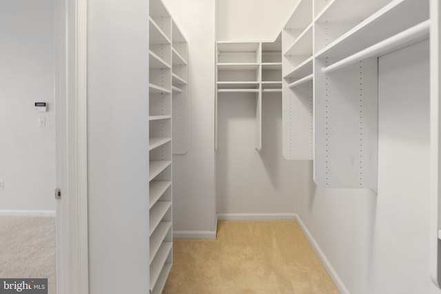 spacious closet featuring light carpet