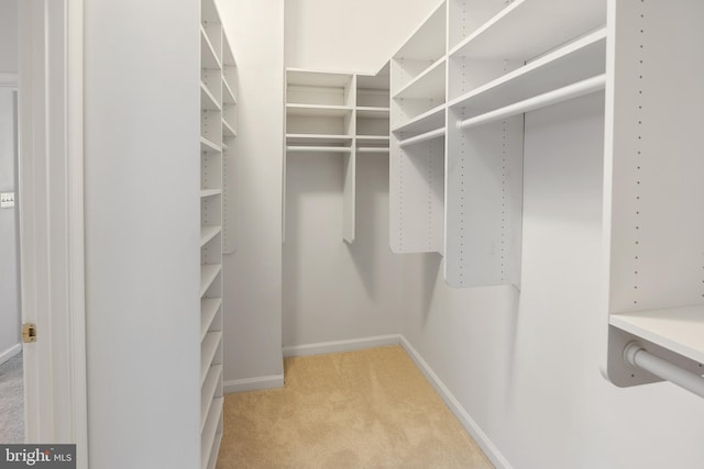 walk in closet with light colored carpet