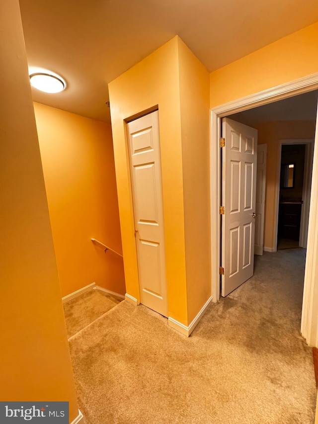 hallway featuring carpet floors