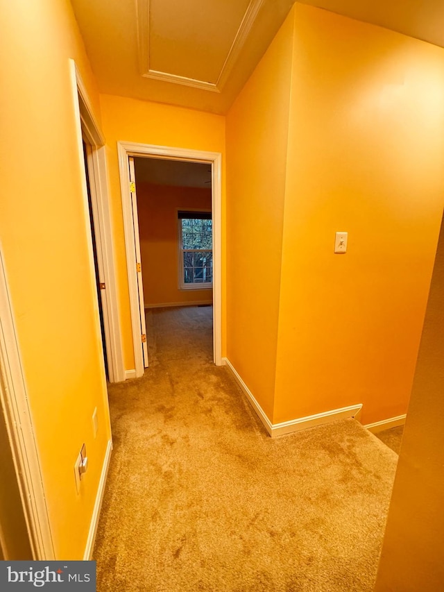 hallway featuring light colored carpet