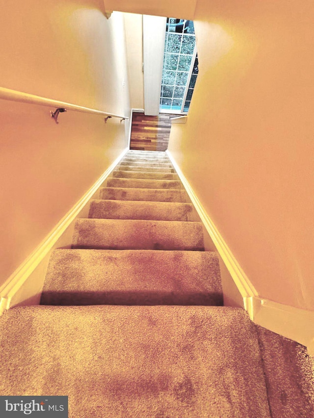 staircase featuring carpet floors