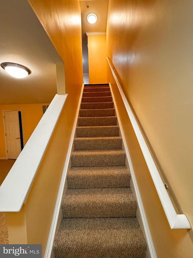 stairs with carpet