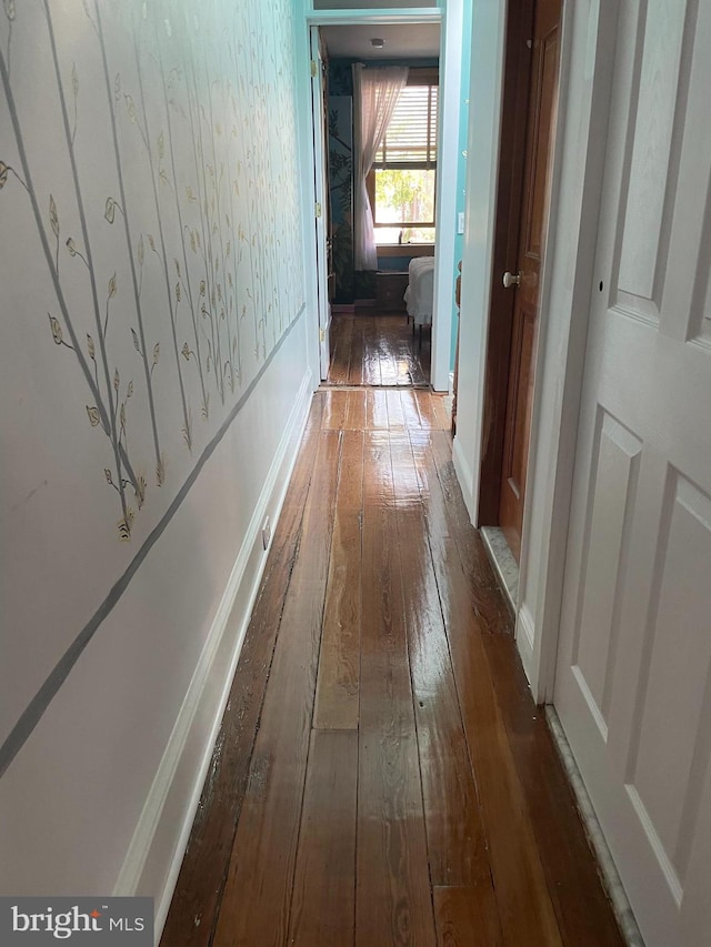 corridor featuring dark hardwood / wood-style flooring