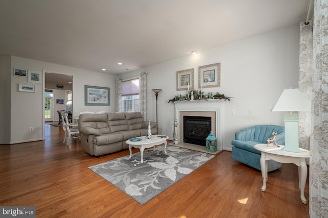 living room featuring hardwood / wood-style floors