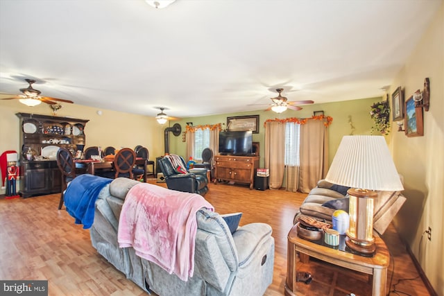 living room featuring light hardwood / wood-style floors