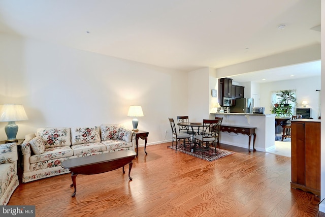 living room featuring light hardwood / wood-style floors