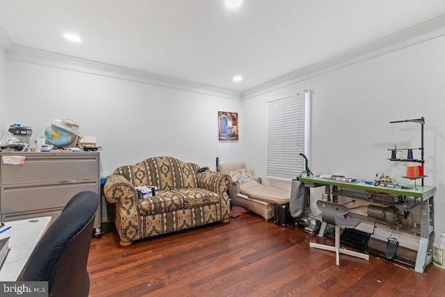 office featuring dark hardwood / wood-style floors and ornamental molding