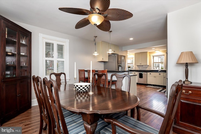 dining area with dark hardwood / wood-style flooring, sink, and ceiling fan