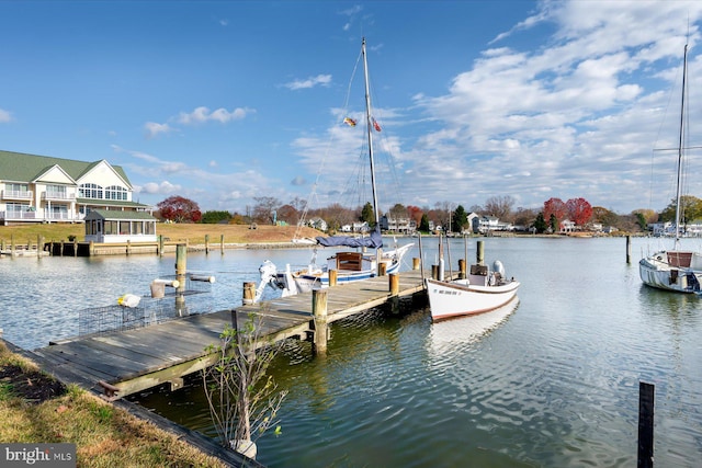 dock area with a water view