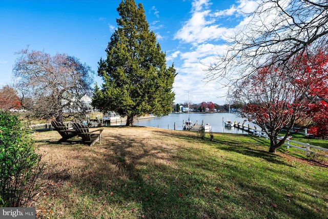 view of yard with a water view and a boat dock