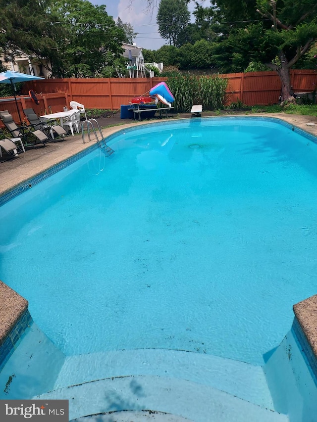 view of swimming pool with a diving board