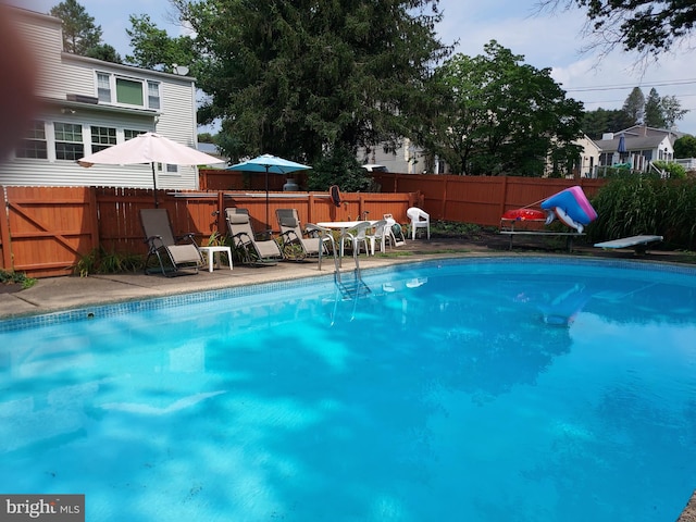 view of pool with a diving board