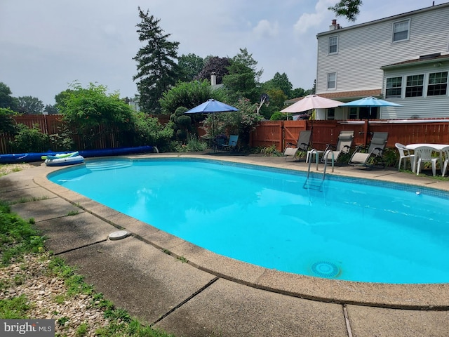 view of swimming pool