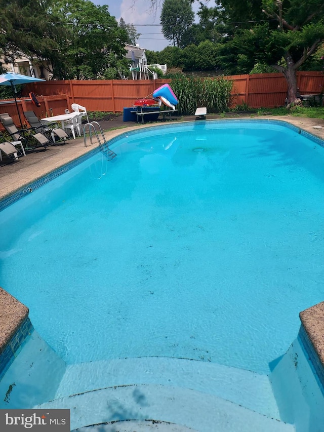 view of swimming pool featuring a diving board