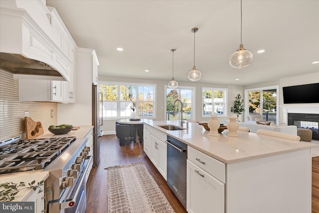 kitchen featuring sink, dark wood-type flooring, an island with sink, appliances with stainless steel finishes, and custom exhaust hood