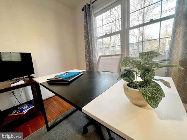 office featuring a wealth of natural light and wood finished floors