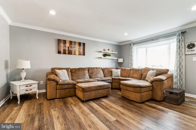 living room featuring crown molding and wood-type flooring