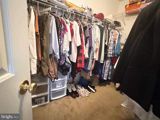 spacious closet with carpet