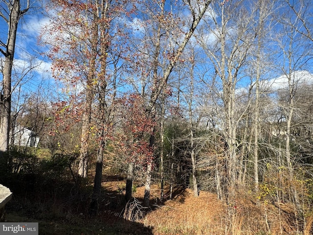 view of landscape