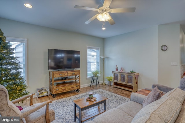 living room featuring ceiling fan and light hardwood / wood-style floors