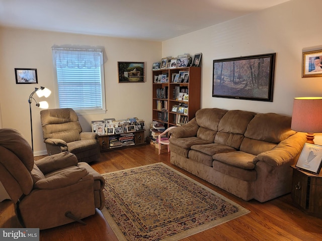 living room featuring hardwood / wood-style floors