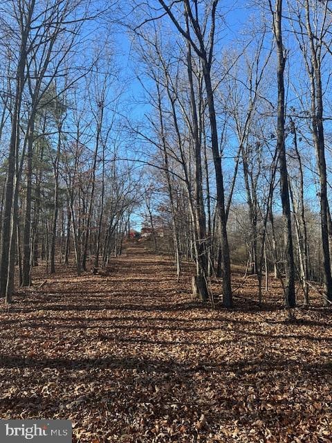 Shadow Ridge Rd, Great Cacapon WV, 25422 land for sale