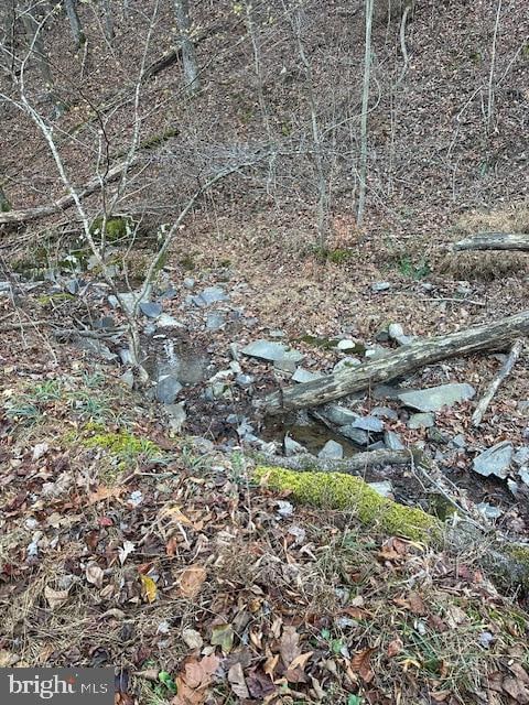 Listing photo 2 for Shadow Ridge Rd, Great Cacapon WV 25422