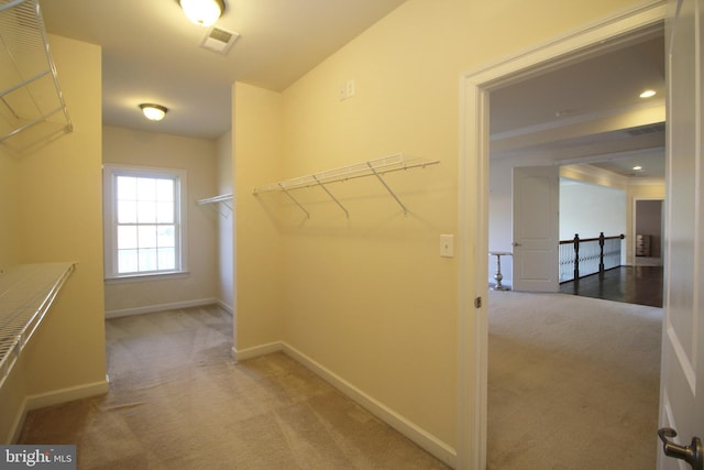 walk in closet featuring light carpet