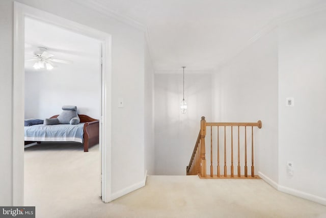 hall with carpet floors and ornamental molding