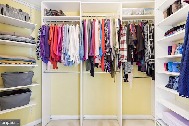 view of spacious closet