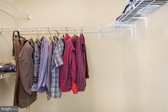 view of spacious closet