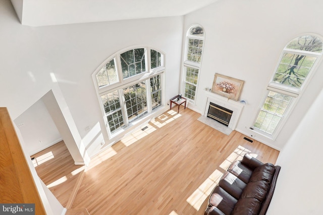 unfurnished living room with high vaulted ceiling, a healthy amount of sunlight, and wood-type flooring