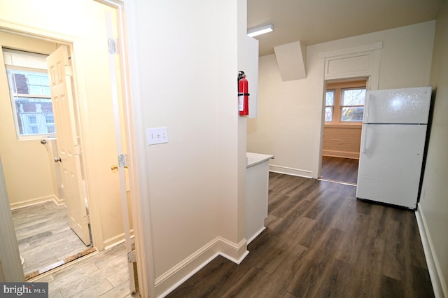 hallway with dark hardwood / wood-style floors and a wealth of natural light