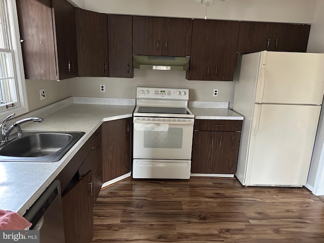 kitchen with dark brown cabinetry, white appliances, sink, and dark wood-type flooring