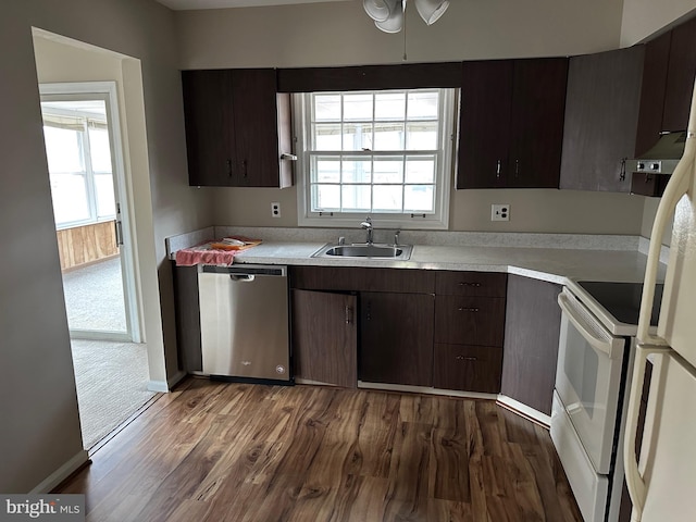 kitchen featuring white stove, sink, stainless steel dishwasher, a healthy amount of sunlight, and dark hardwood / wood-style flooring