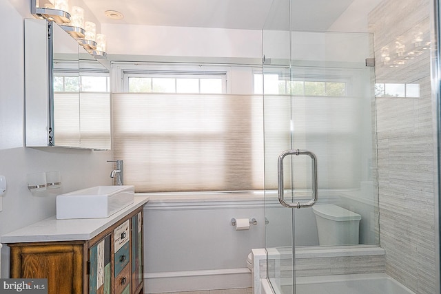 full bathroom featuring a shower with shower door, a healthy amount of sunlight, and vanity